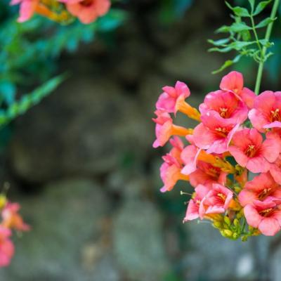 Studio Dimitra Hd Img 5272