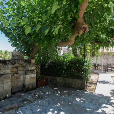 Studio Dimitra Hd Img 5385