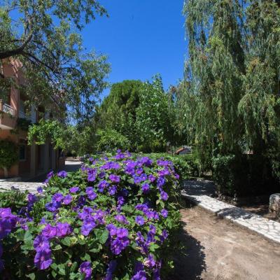 Studio Dimitra Hd Img 5401