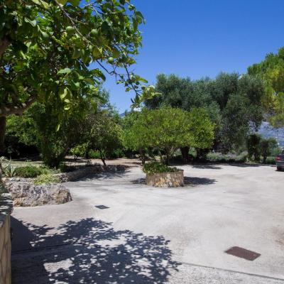 Studio Dimitra Hd Img 5411