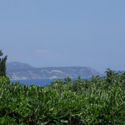 Studio Dimitra Hd Img 5445